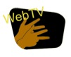 webtvlogolis-n-1